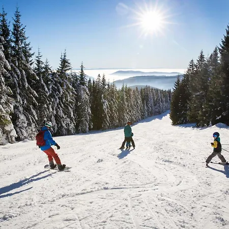 Haus Elisabeth - Glottertal, 1 Schlafzimmer, Feldberg Nahe Skipiste Neuglashutten