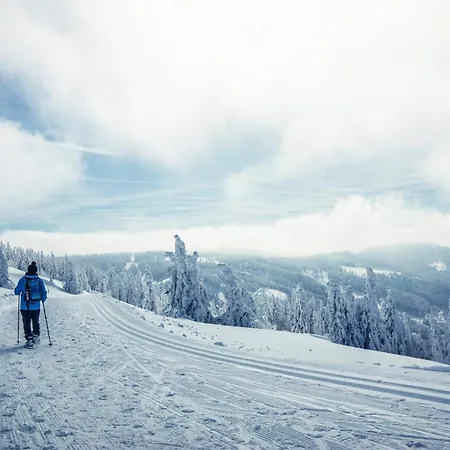 Haus Elisabeth - Glottertal, 1 Schlafzimmer, Feldberg Nahe Skipiste *