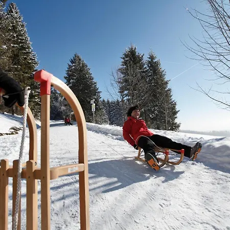 Apartment Haus Elisabeth - Glottertal, 1 Schlafzimmer, Feldberg Nahe Skipiste Neuglashutten