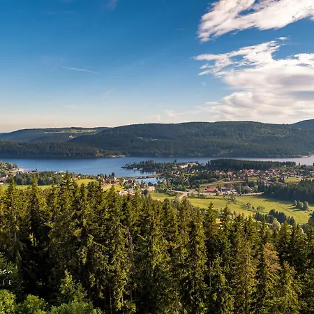 Apartman Haus Elisabeth - Glottertal, 1 Schlafzimmer, Nahe Skipiste Feldberg